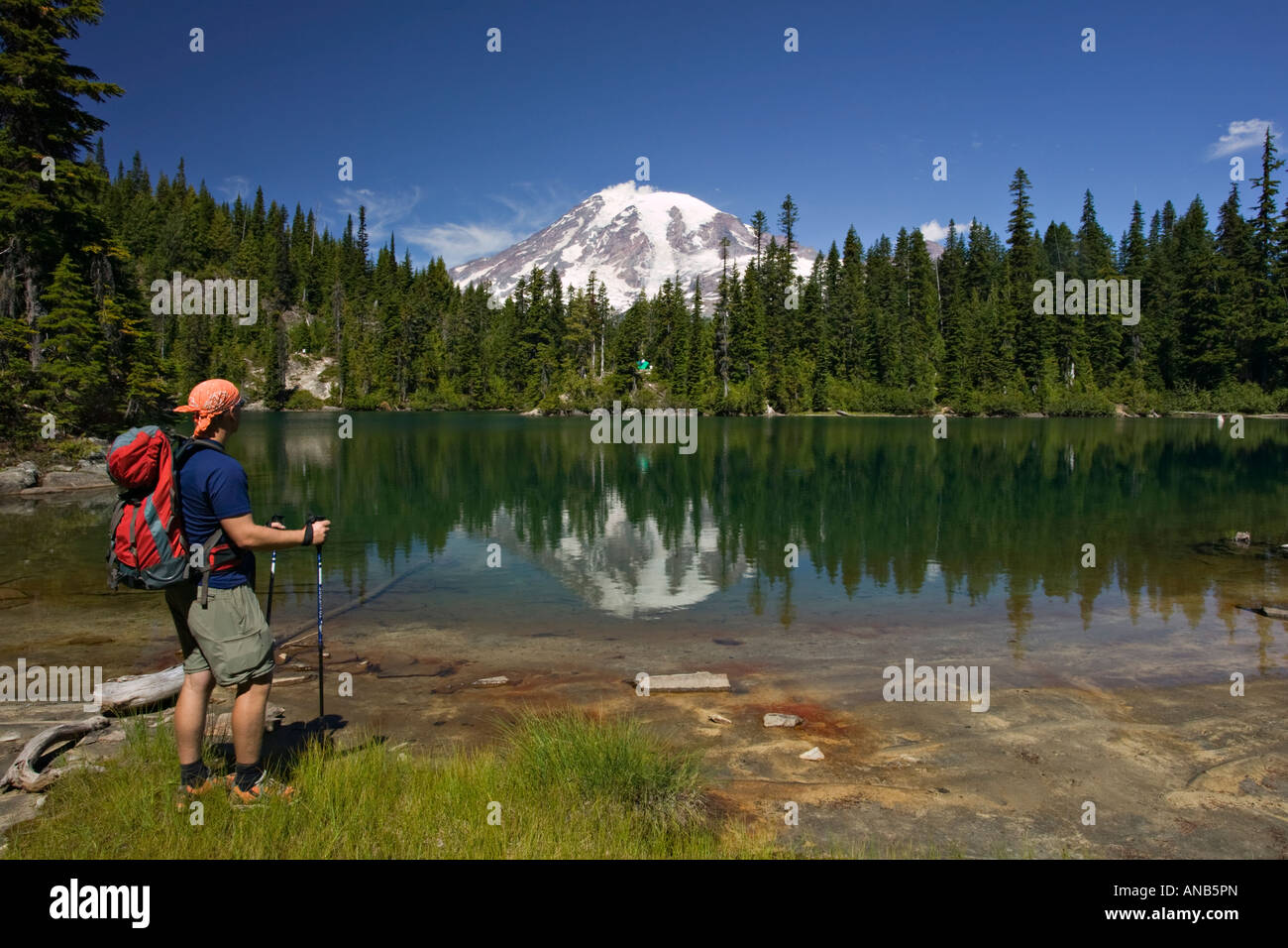 Backpacker and Mt Rainier Stock Photo - Alamy