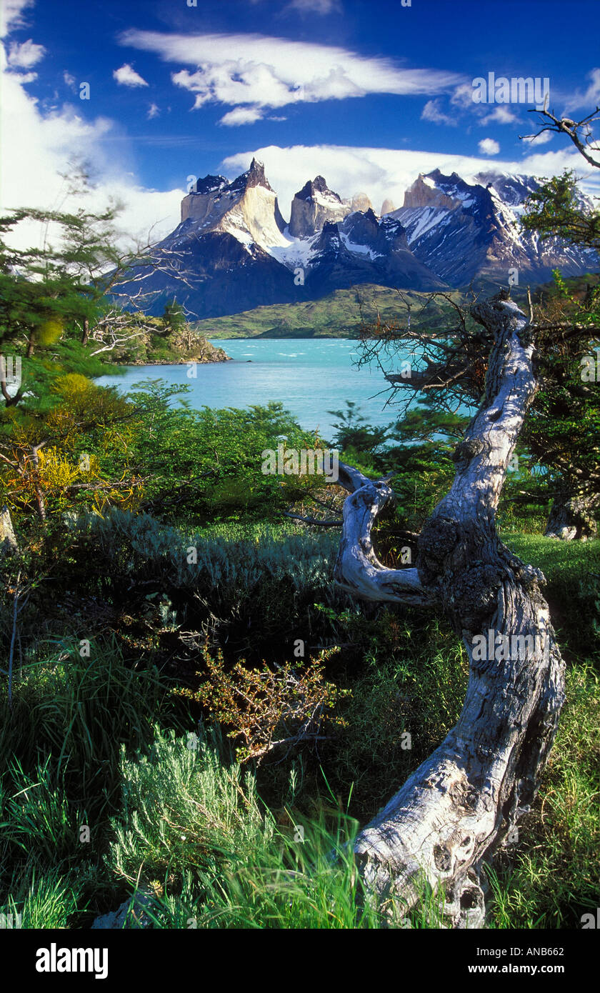 The Cuernos del Paine Lake Pehoe Torres del Paine Patagonia Chile Stock Photo