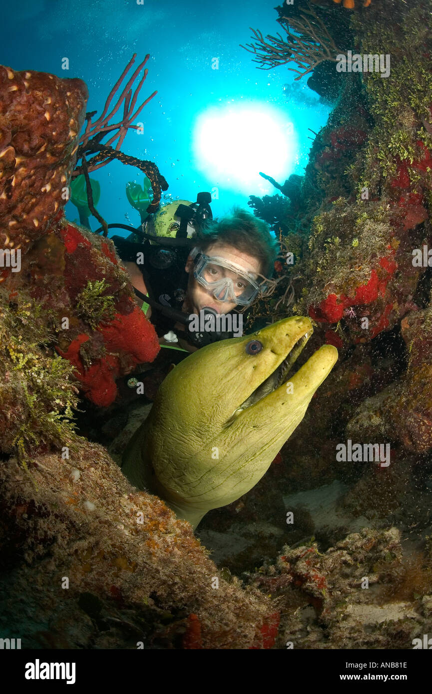 Woman scuba diver with green moray eel Elvis Tormentos Reef Cozumel