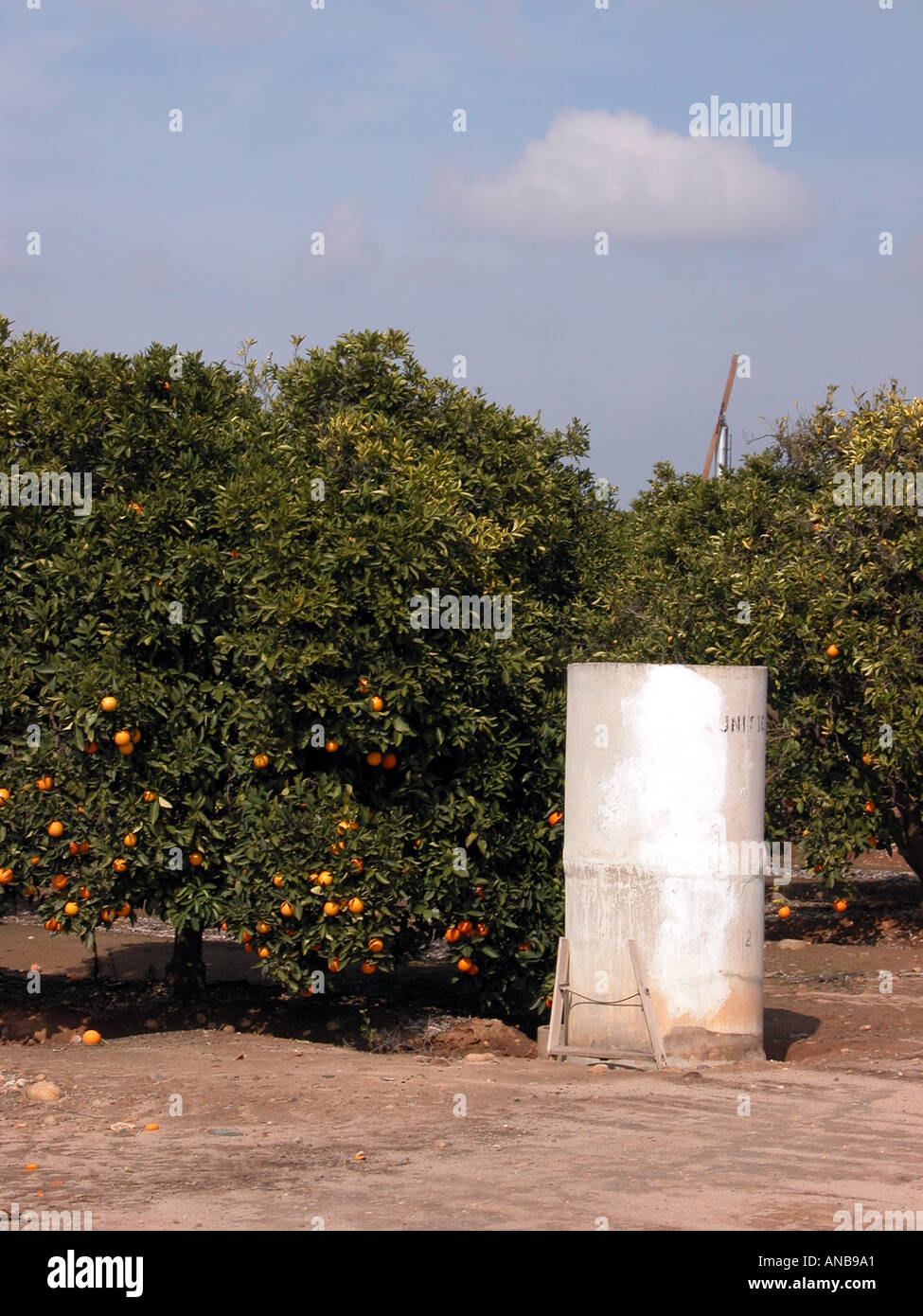 orange grove central California USA irrigation standpipe Stock Photo