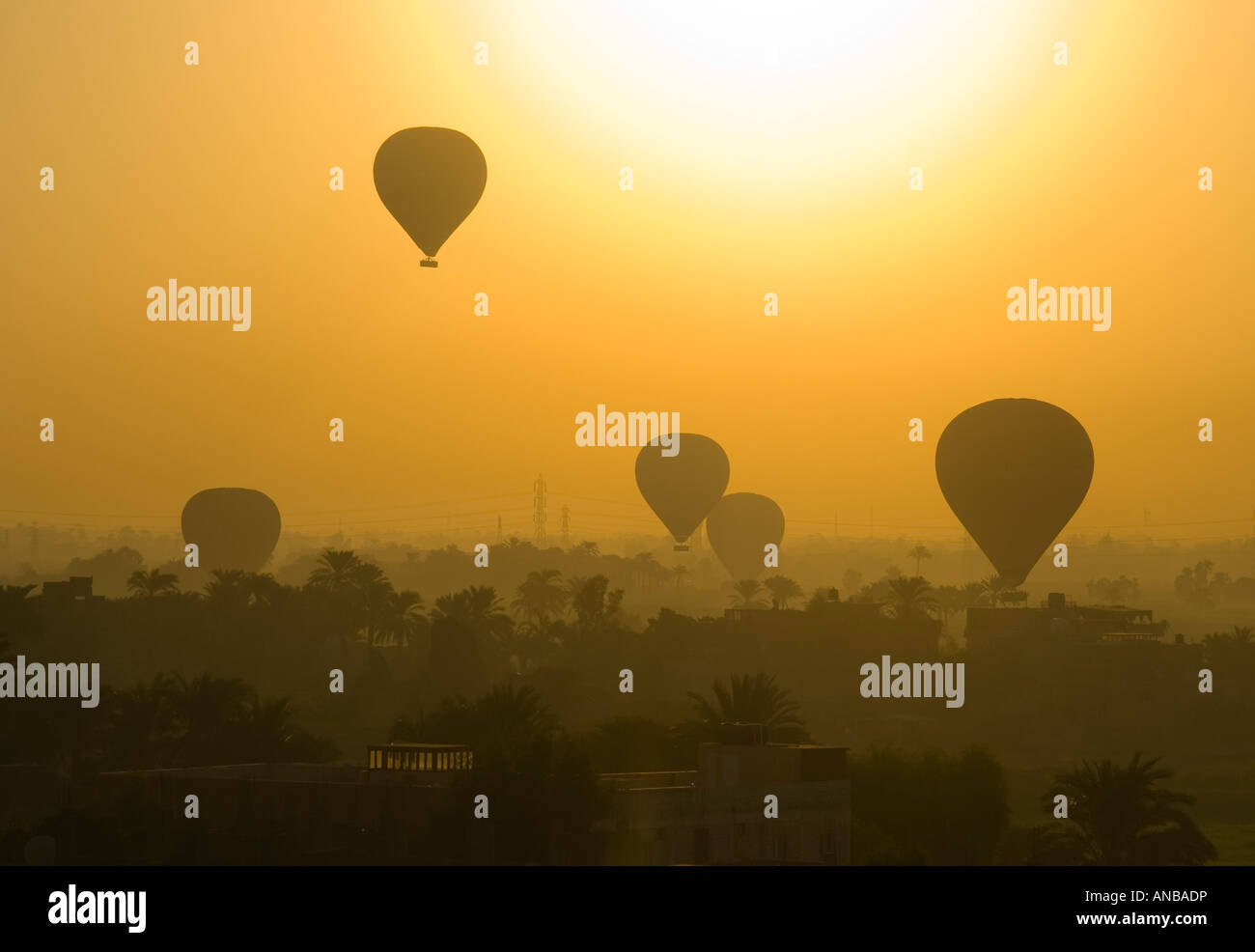 Hot air balloons in golden sunrise glow over the Nile and Luxor countryside Egypt Stock Photo