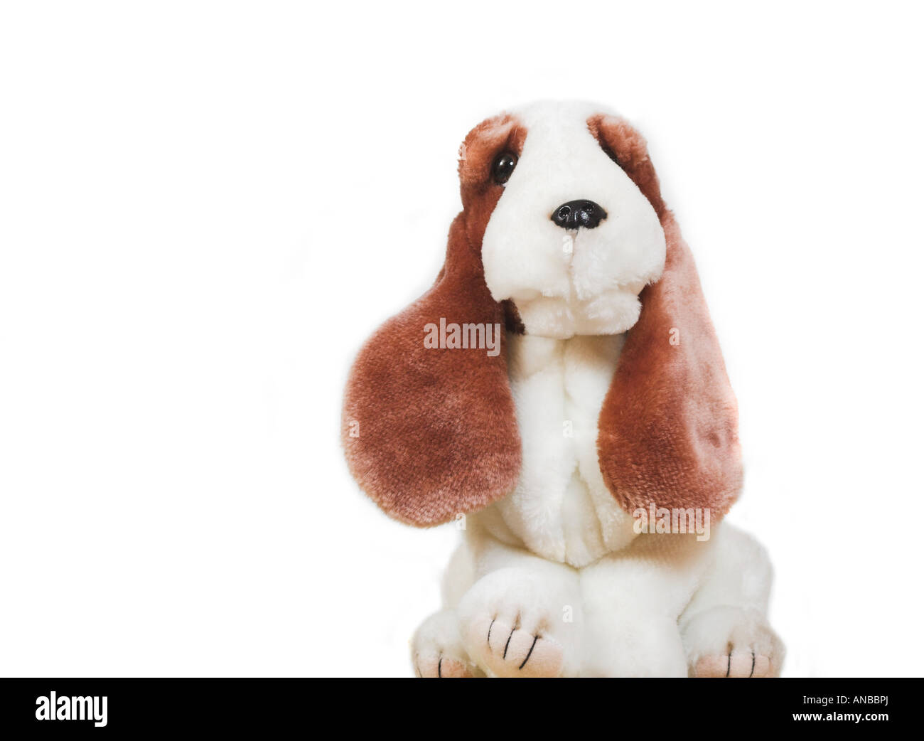 Hush Puppy.  Cuddly toy dog. Stock Photo