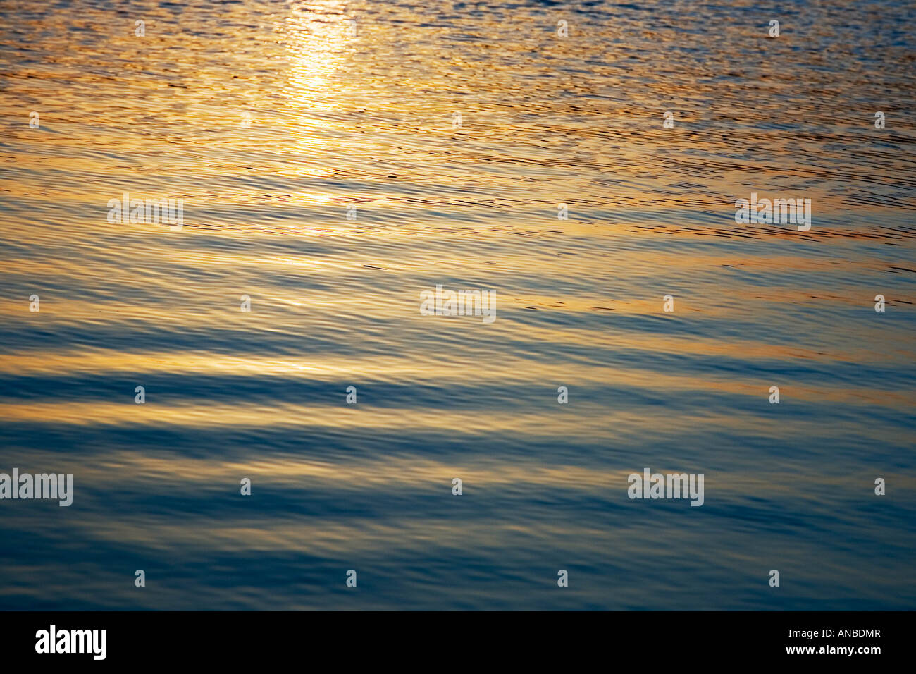 Golden ripples on a lake at sunset. India Stock Photo