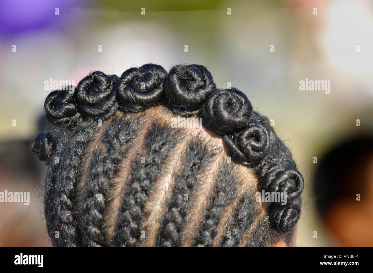 Afro American Cornrow Hair Style Of 12 Year Old Girl Stock