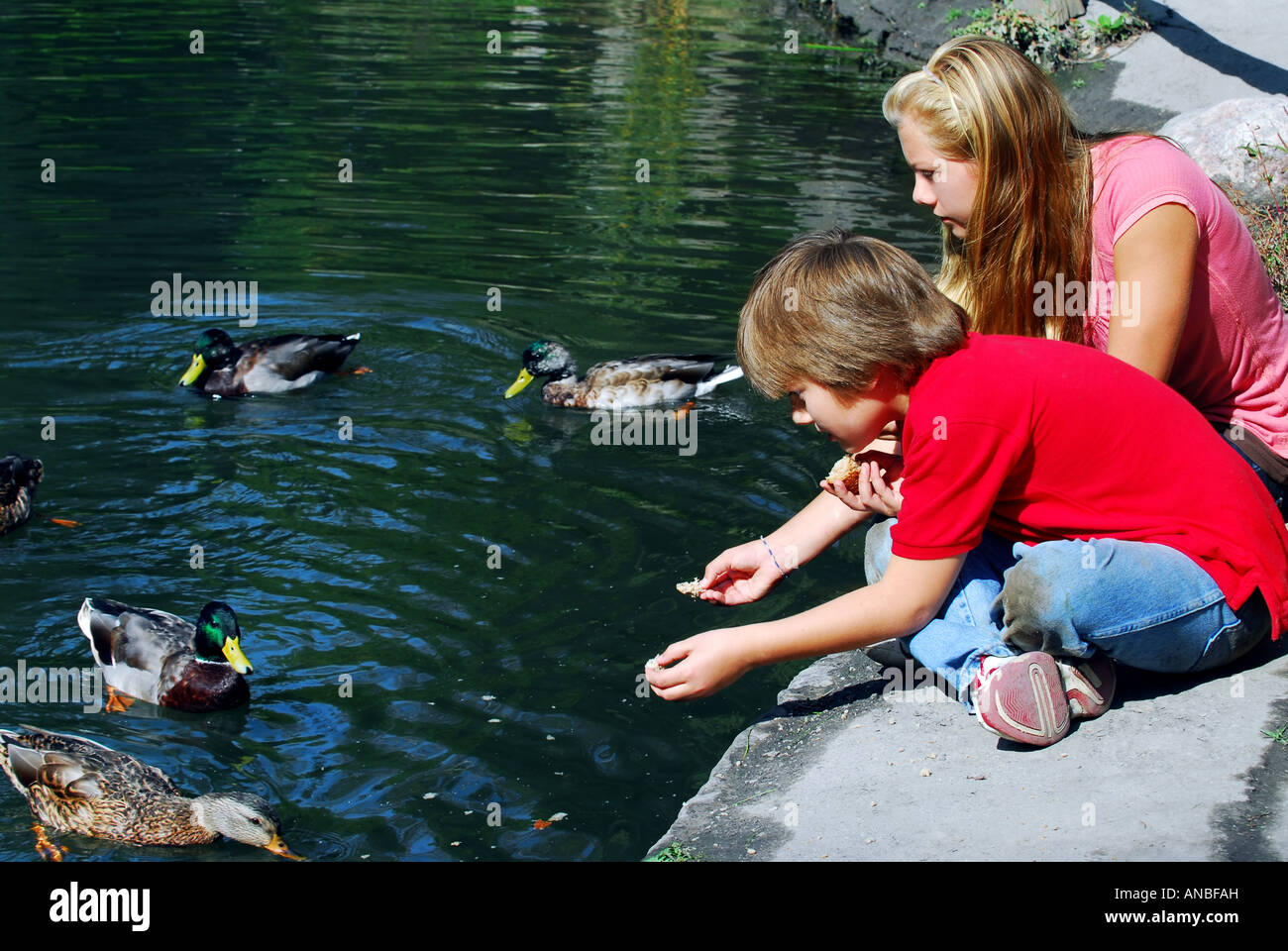 Children feed the ducks hires stock photography and images Alamy