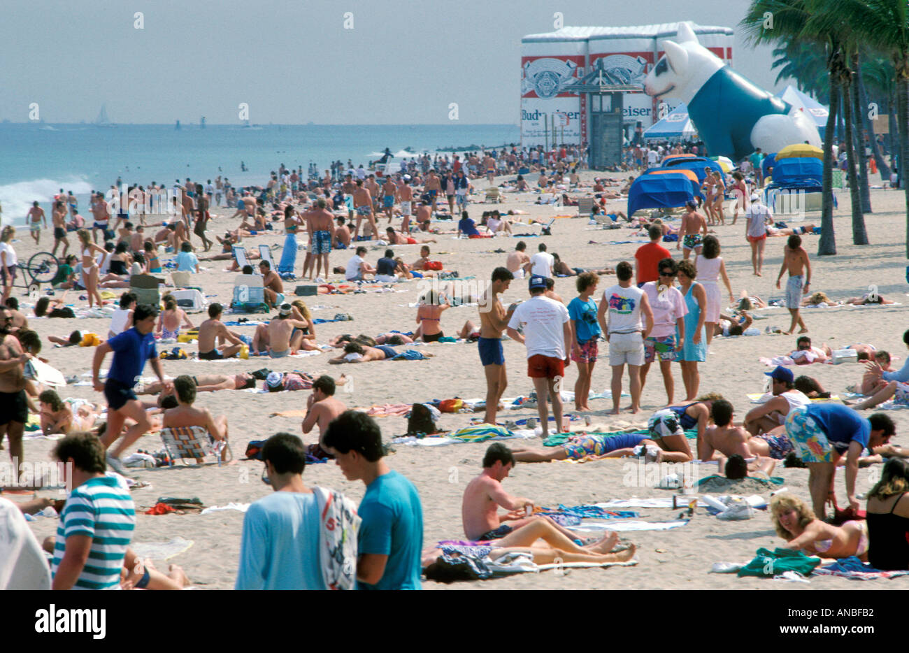 Spring break florida hi-res stock photography and images - Alamy