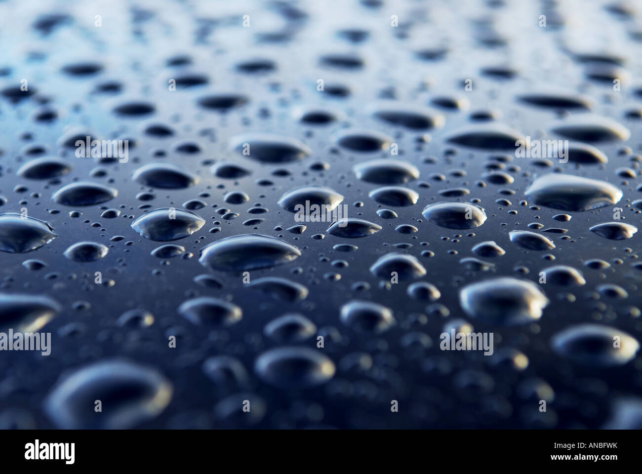 Abstract background of water drops on a blue metal surface Stock Photo ...