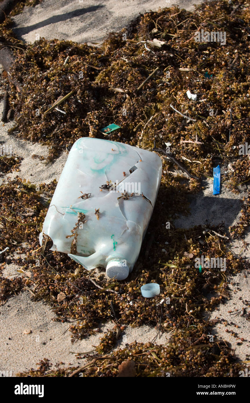 garbage trash rubbish waste washed up on beach in seaweed ocean coastal beach mess Stock Photo