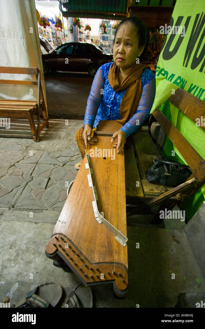 Woman Playing a Gu Zheng Traditional String Instrument Player Solo Java