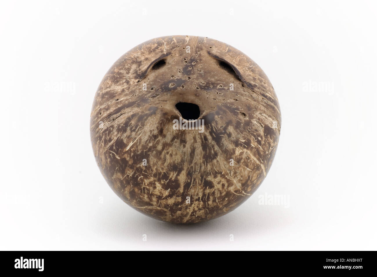 coconut face sanded wood smooth personality Stock Photo