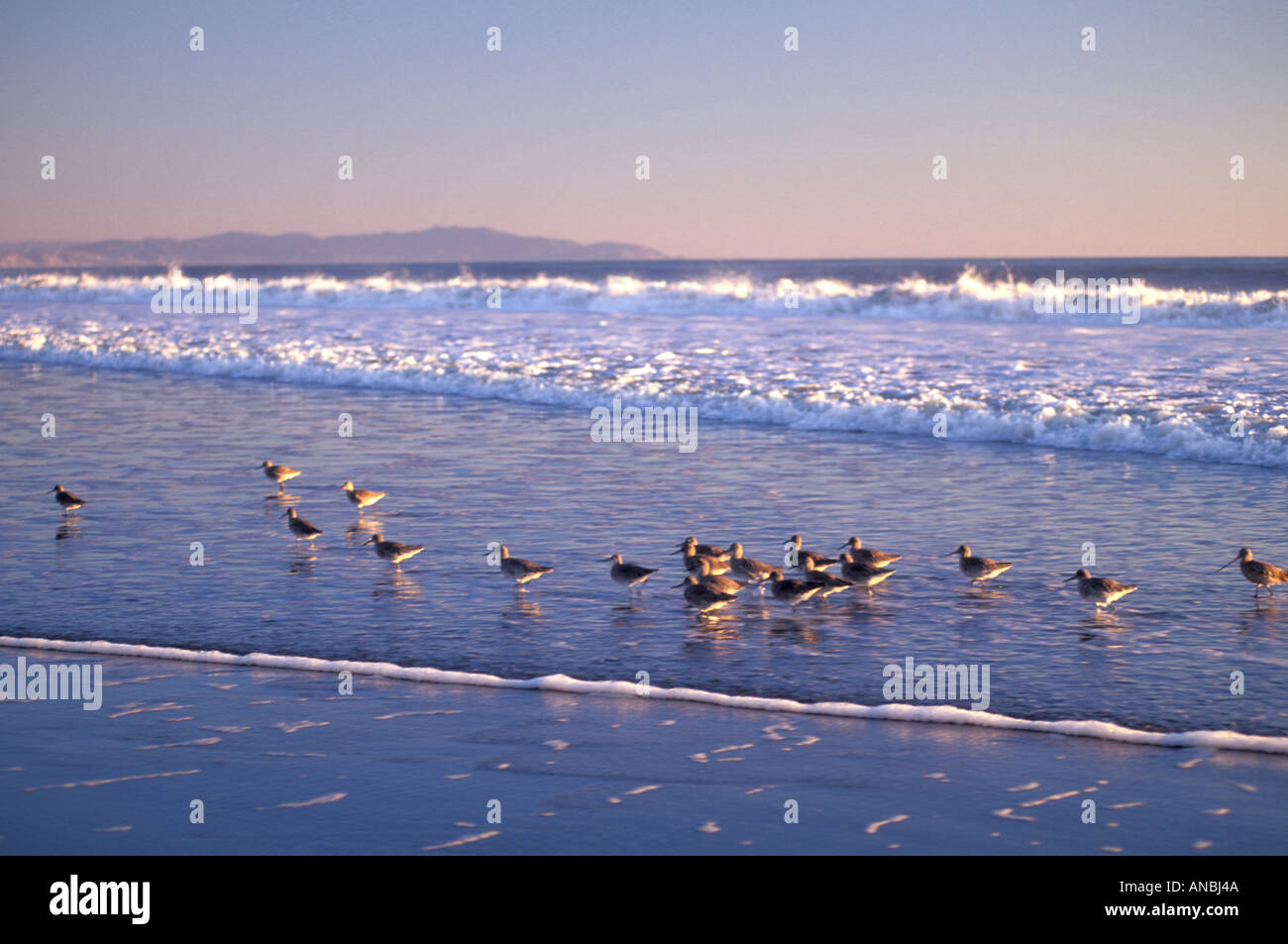 Stinson Beach near San Francisco, California, USA Stock Photo Alamy