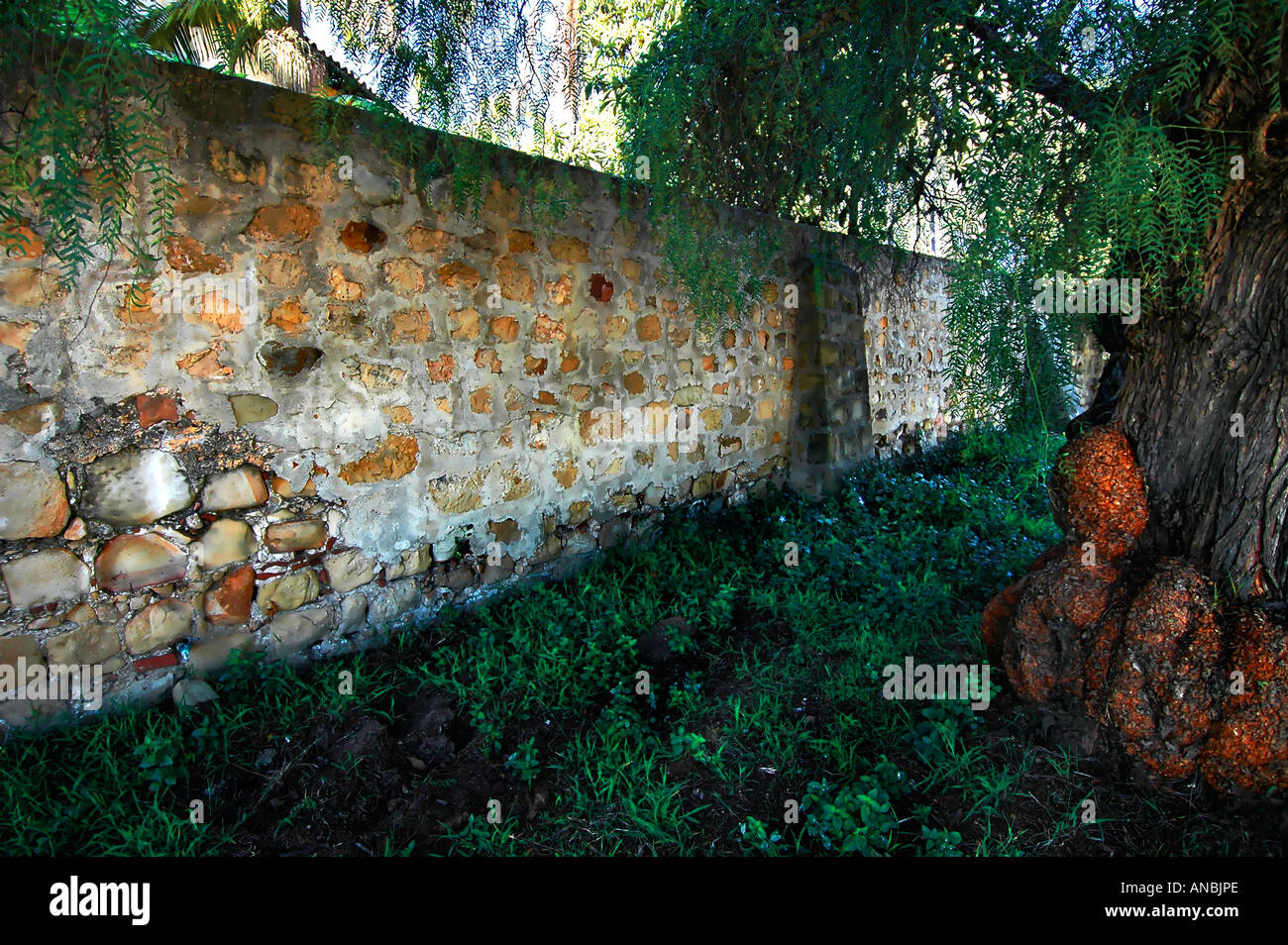Old Stone Garden Wall In The Shade Of An Ancient Tree Stock Photo