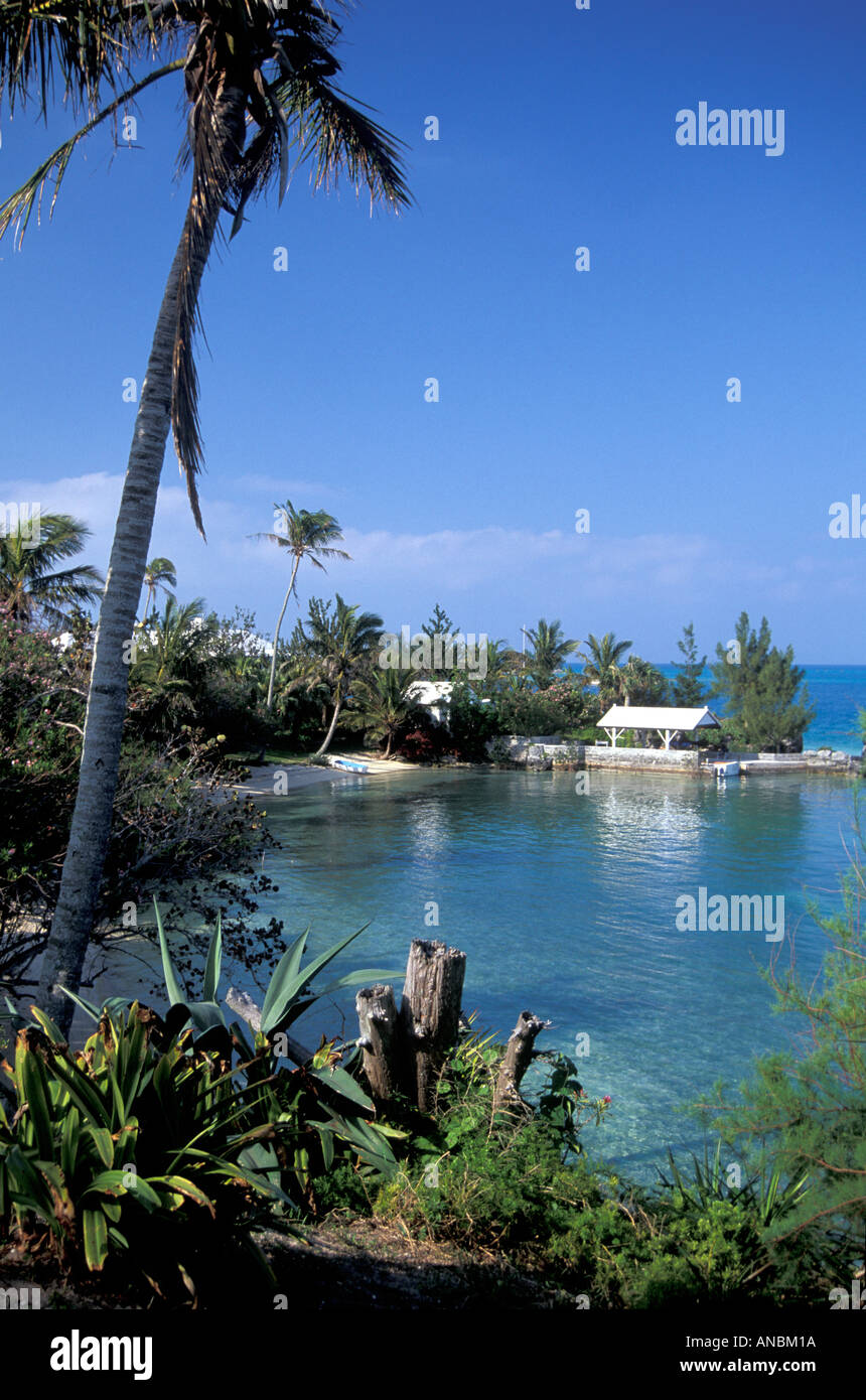 Mangrove Bay, Bermuda Stock Photo Alamy