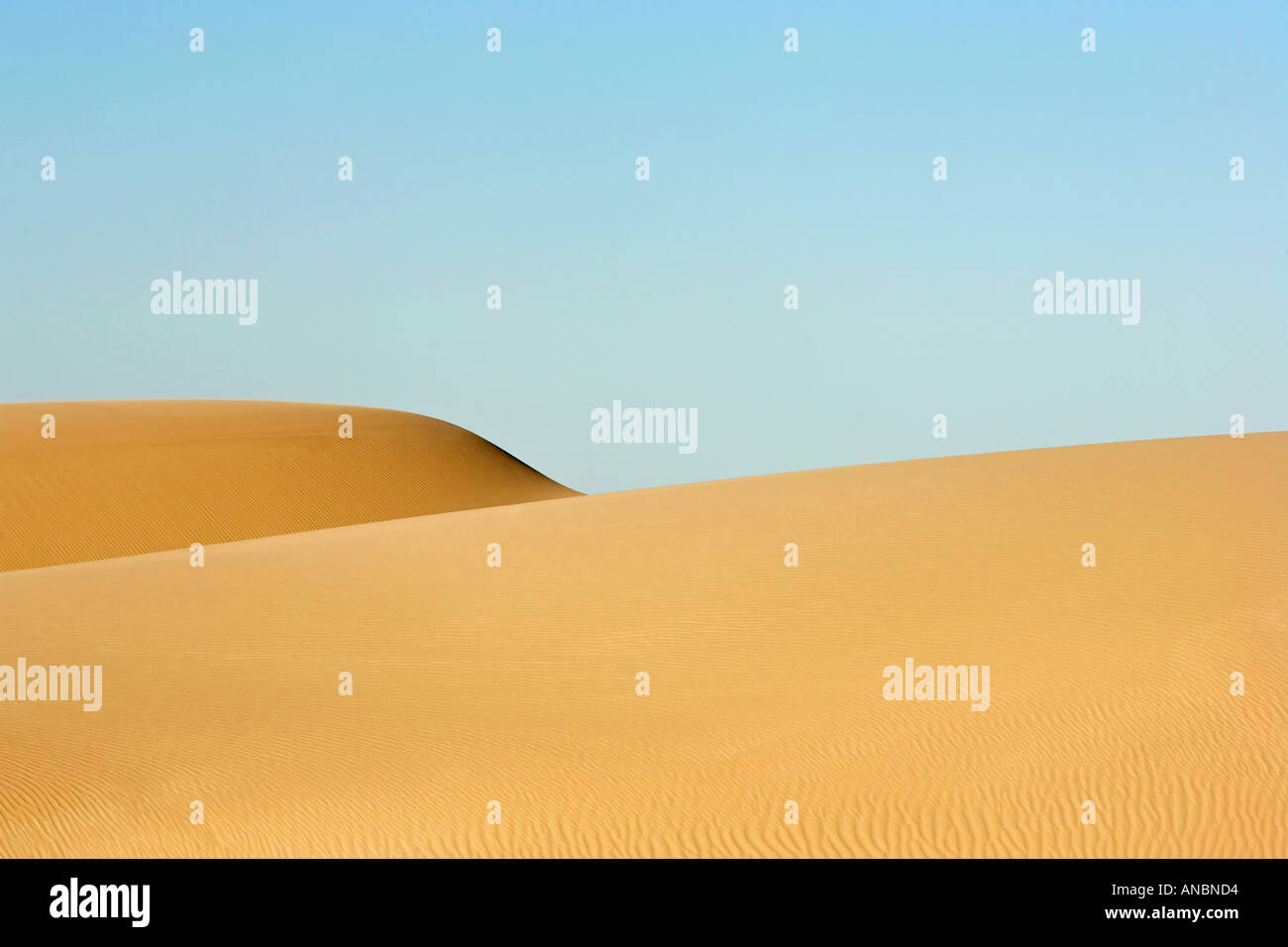Sand dunes close to Eucla Stock Photo
