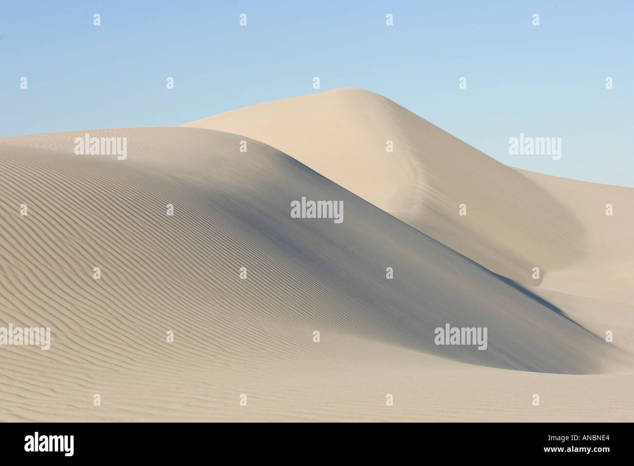 Sand dunes close to Eucla Stock Photo