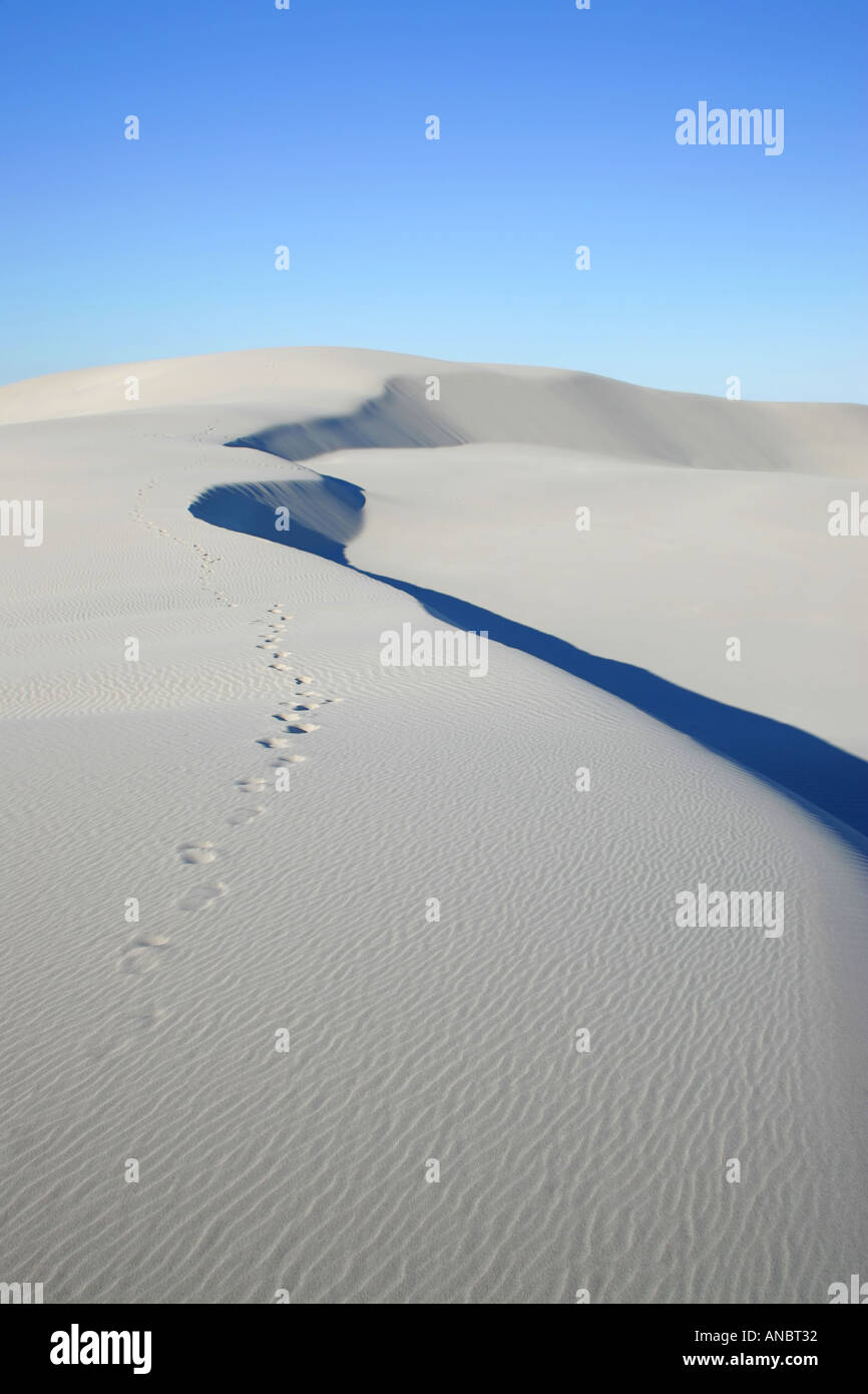 Sand dunes close to Eucla Stock Photo