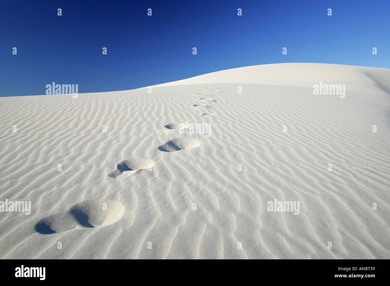Sand dunes close to Eucla Stock Photo