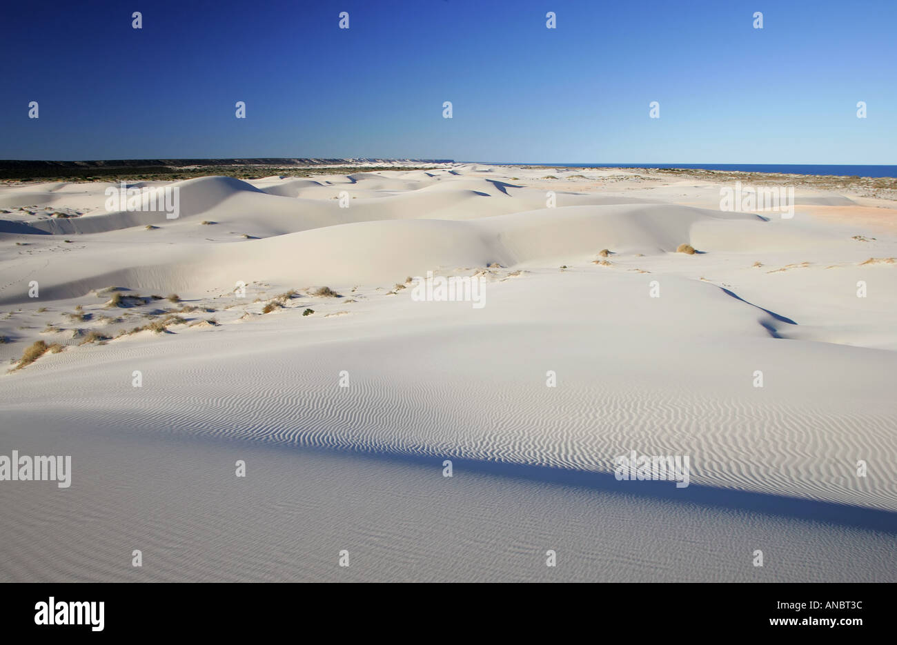 Sand dunes close to Eucla Stock Photo
