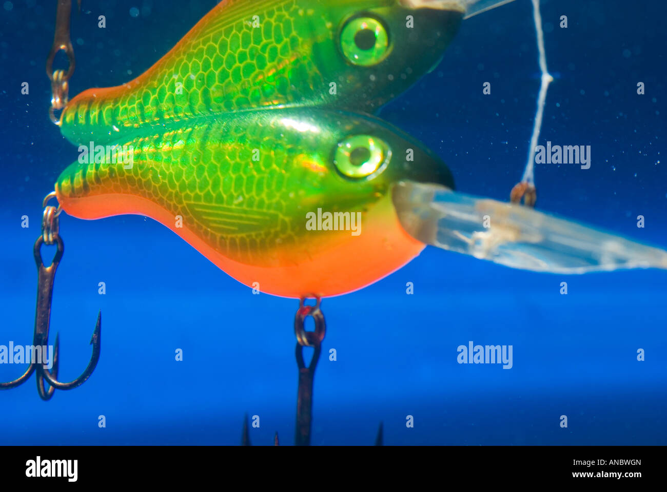 fishing bait underwater in a blue clear water Stock Photo Alamy