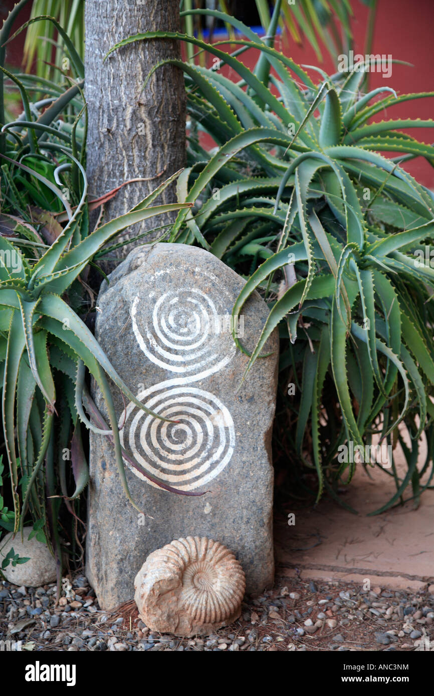 Close up of aloes and ammonite in fronted of carved stone Stock Photo
