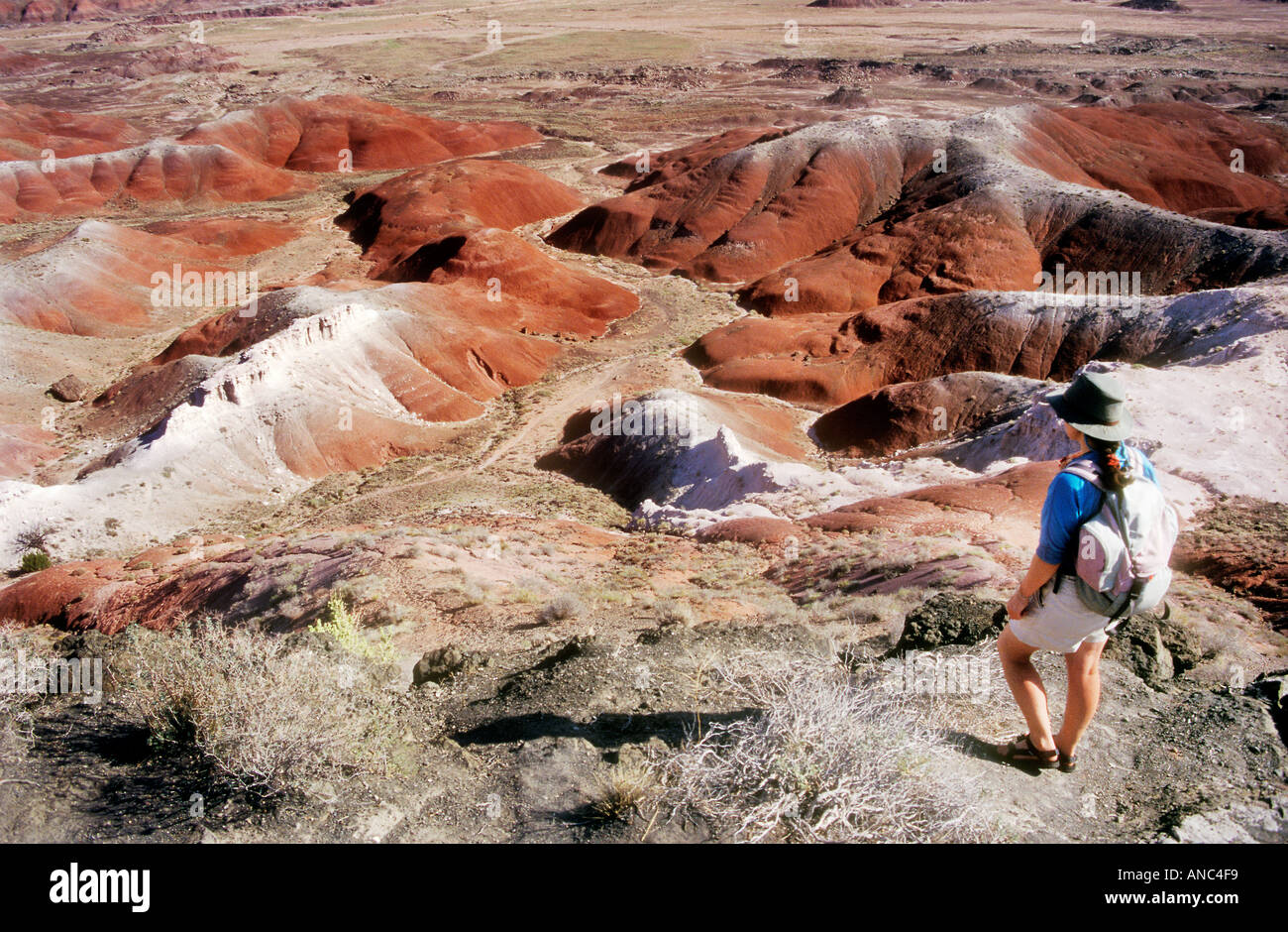 Walker in the Painted Desert Petrified Forest national park Arizona USA Stock Photo