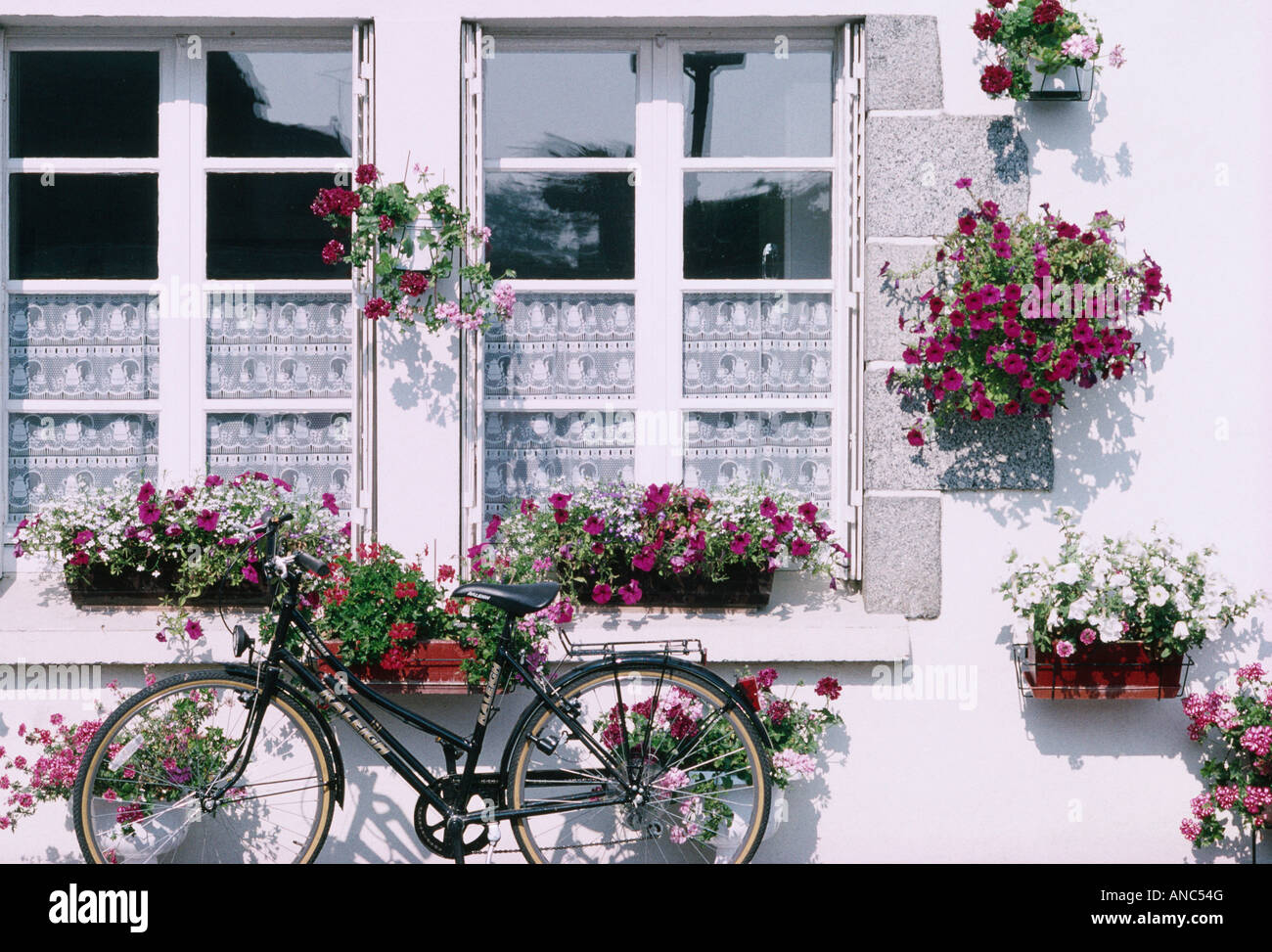 Bicycle In Front Of Window With Lace Curtains And Hanging Baskets