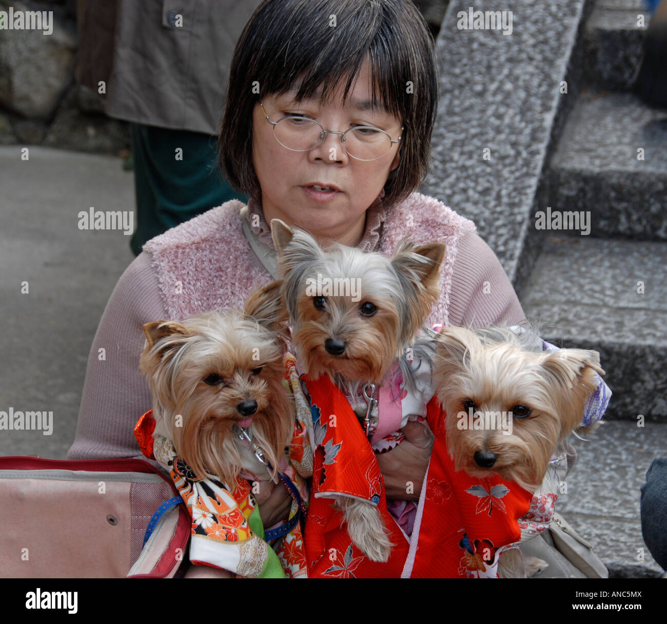 Dressing up pet hires stock photography and images Alamy
