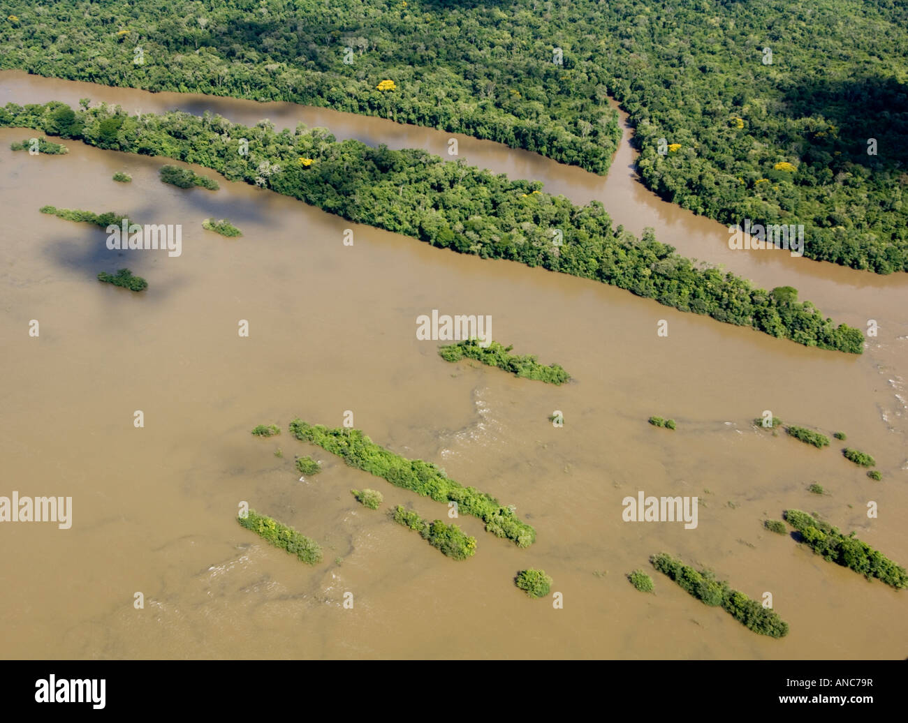 Aerial view of a muddy river and flooded forest in Iguacu National Park, Parana, Brazil Stock Photo