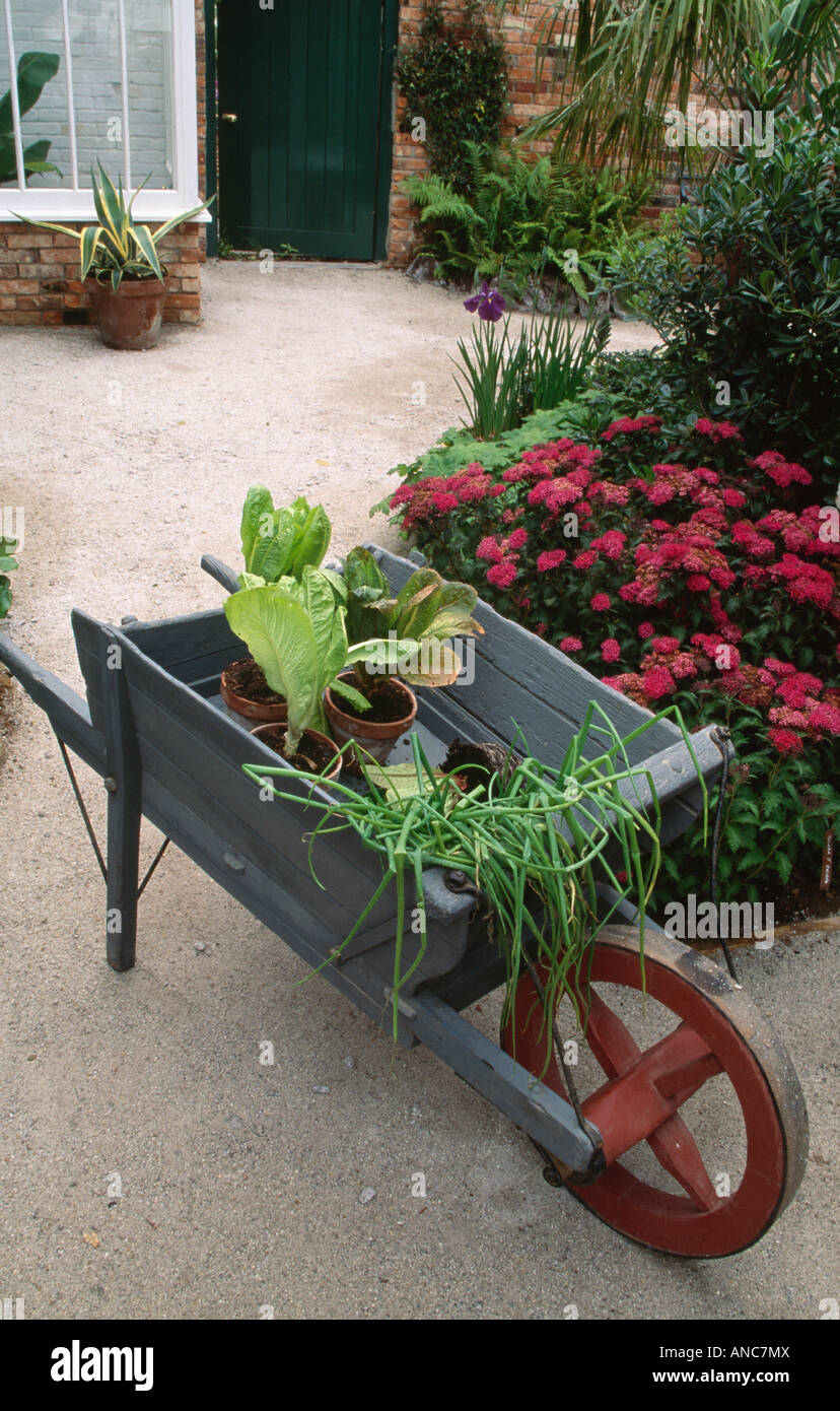 Pots of vegetables in old wooden wheelbarrow in front of red dianthus barbutus Stock Photo