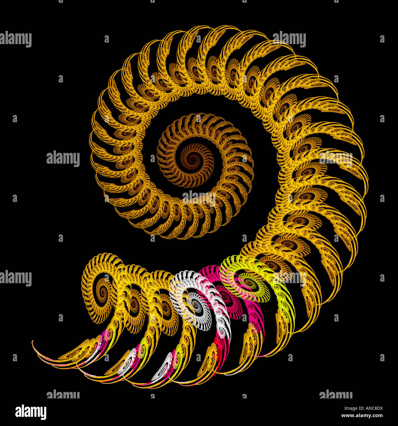 Abstract fractal image of a spiraling spiral Stock Photo