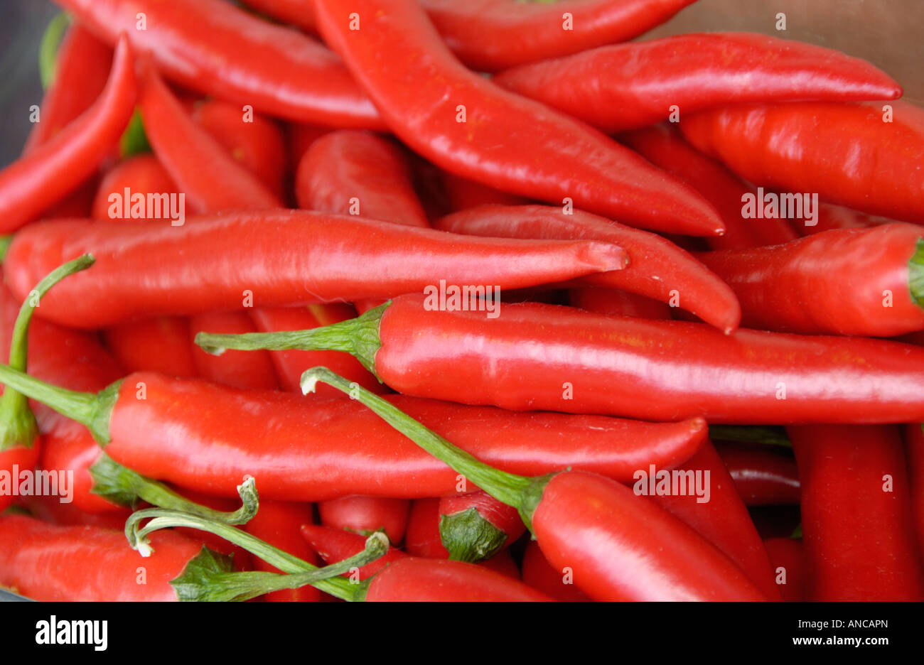 Hungarian Hot Wax chilli on sale at Abergavenny Food Festival Monmouthshire South Wales UK EU Stock Photo