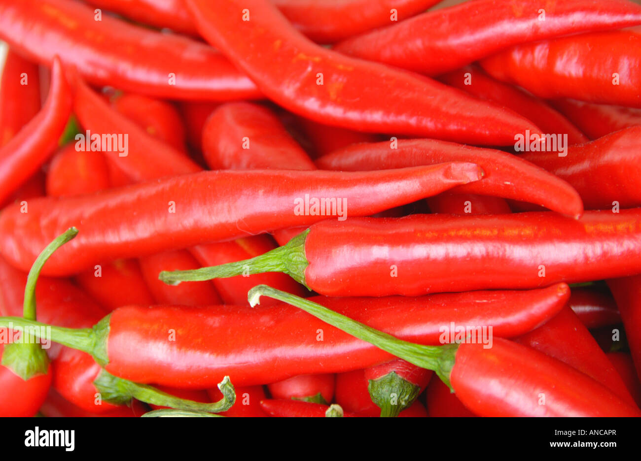 Hungarian Hot Wax chilli on sale at Abergavenny Food Festival Monmouthshire South Wales UK EU Stock Photo