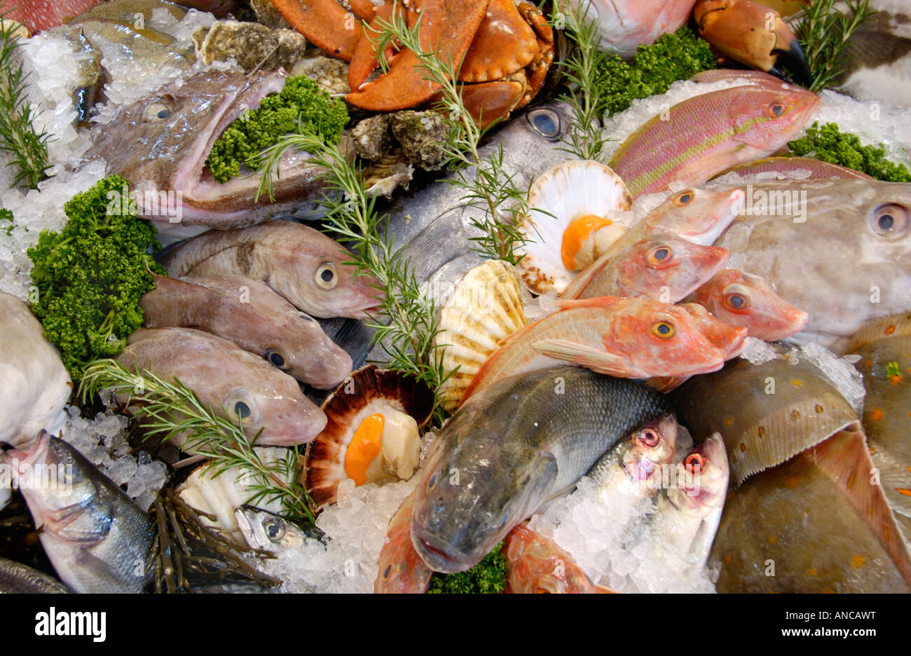 Selection of sea fish for sale at Abergavenny Food Festival Monmouthshire South Wales UK EU Stock Photo