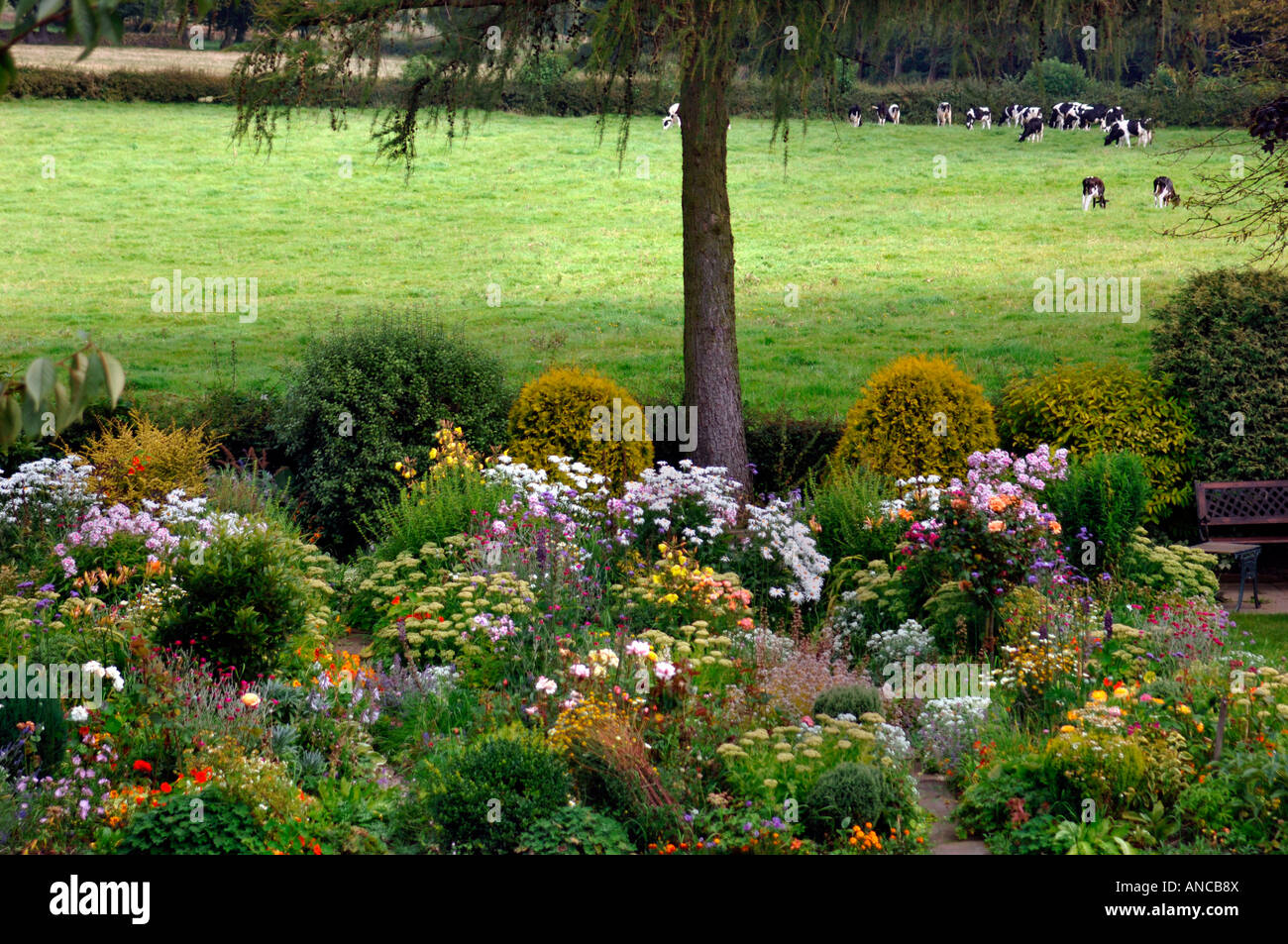 A Colourful Display Of Flowers,In An English Country Garden Stock Photo ...