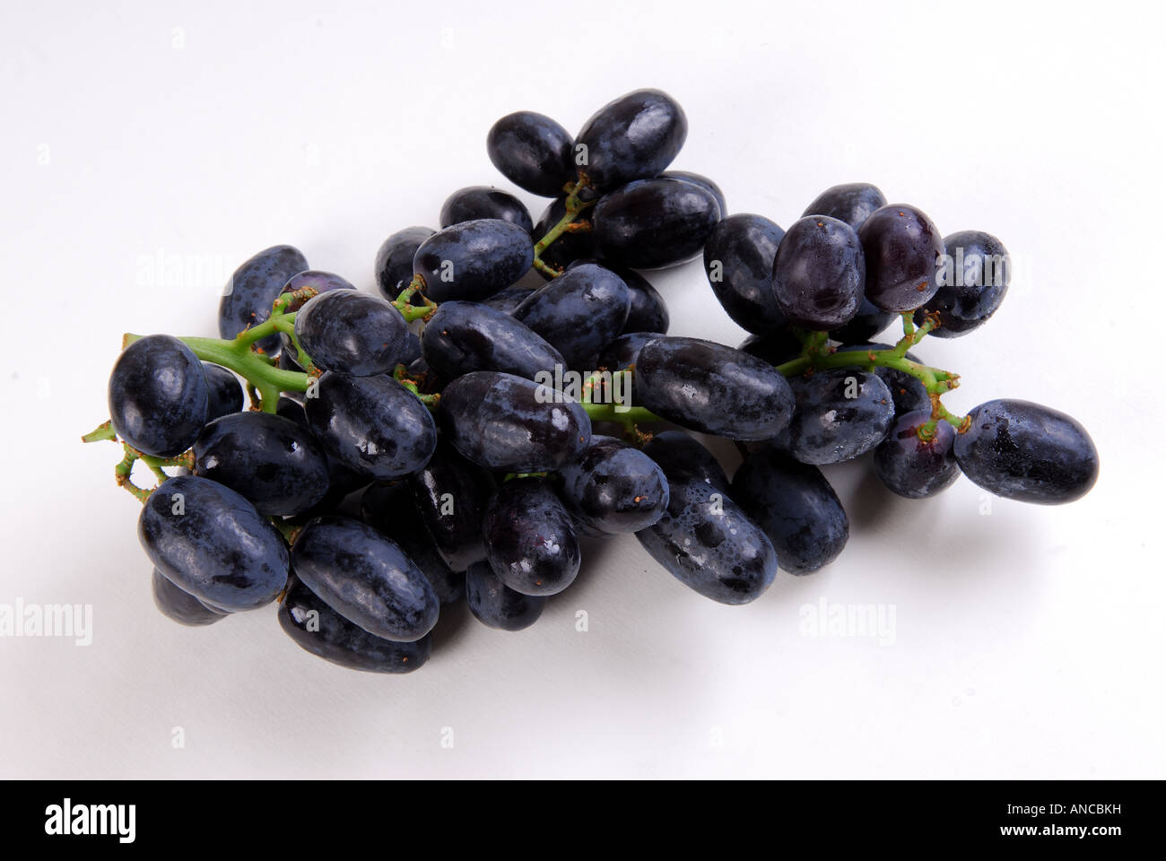 Black seedless grapes Stock Photo Alamy
