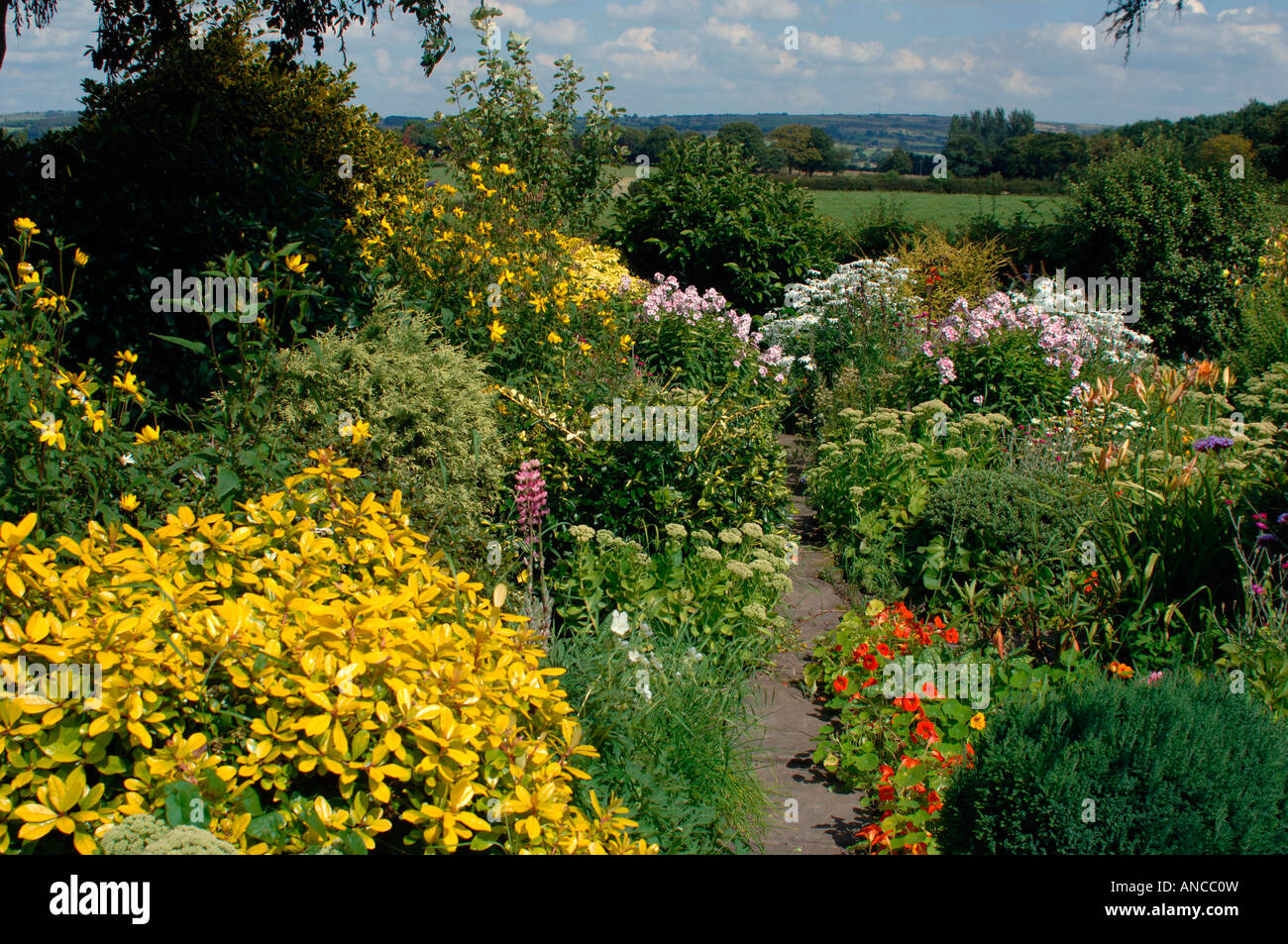 A Colourful Display Of Flowers,In An English Country Garden Stock Photo ...