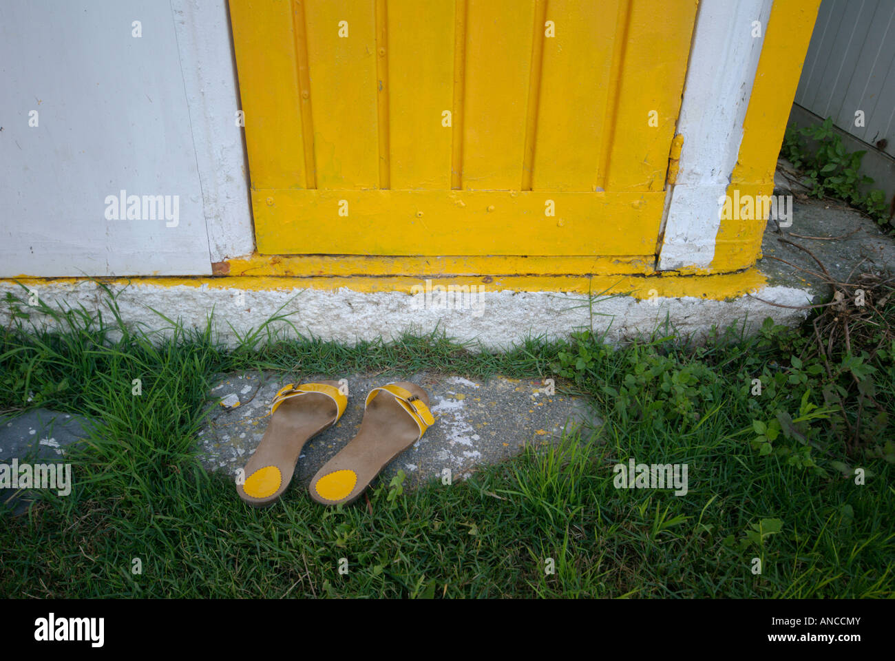 Someone likes yellow Stock Photo