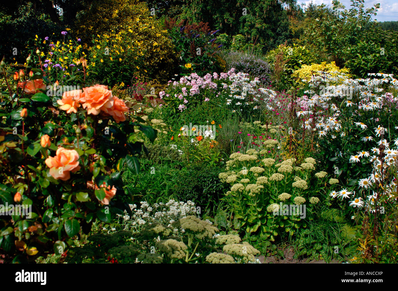 A Colourful Display Of Flowers,In An English Country Garden Stock Photo ...