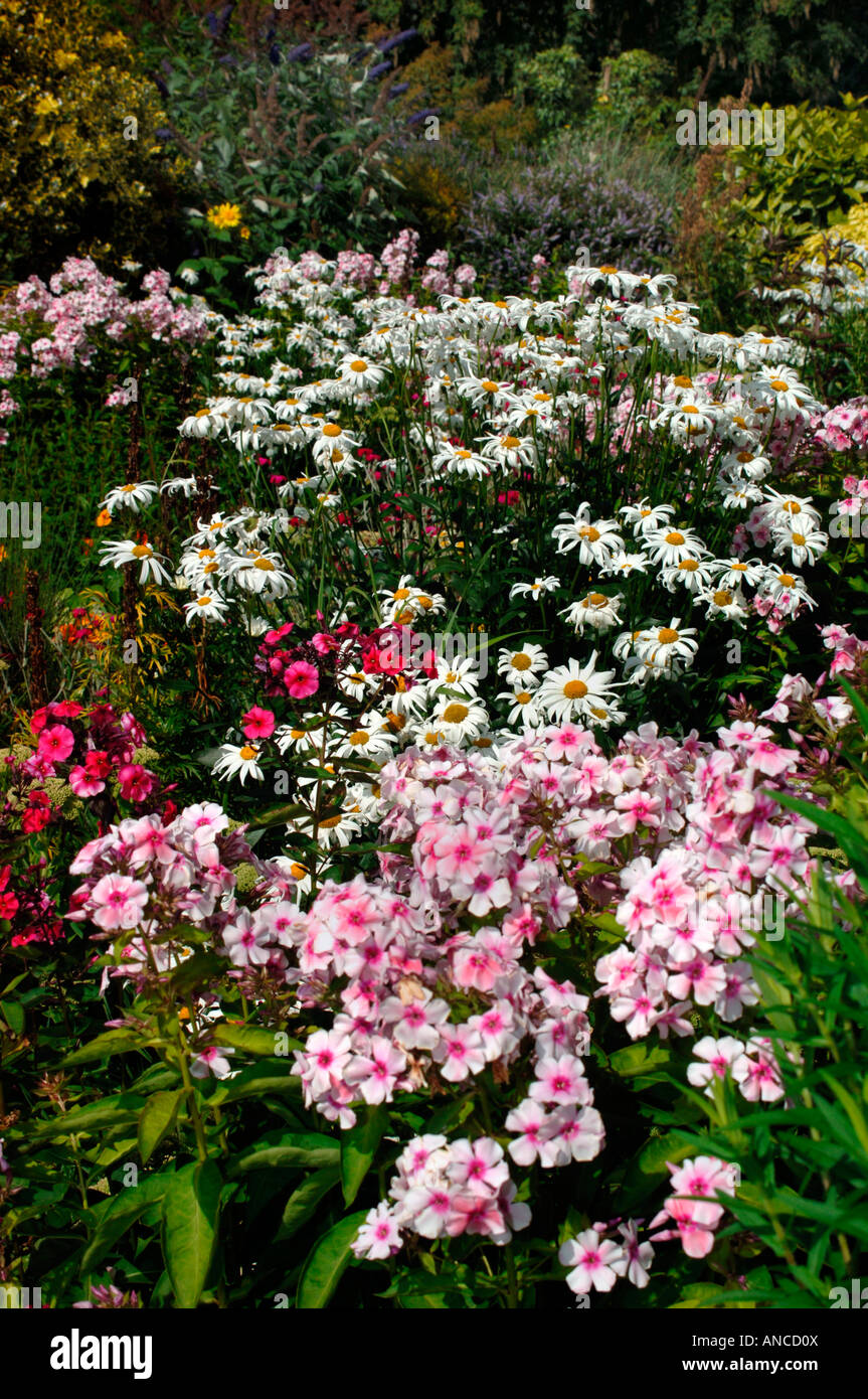 A Colourful Display Of Flowers,In An English Country Garden Stock Photo ...