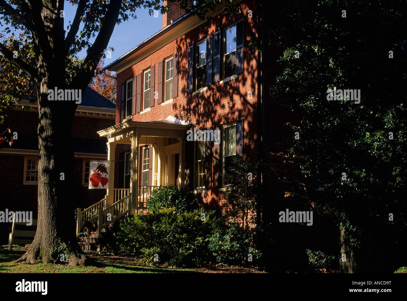 Mosby hires stock photography and images Alamy