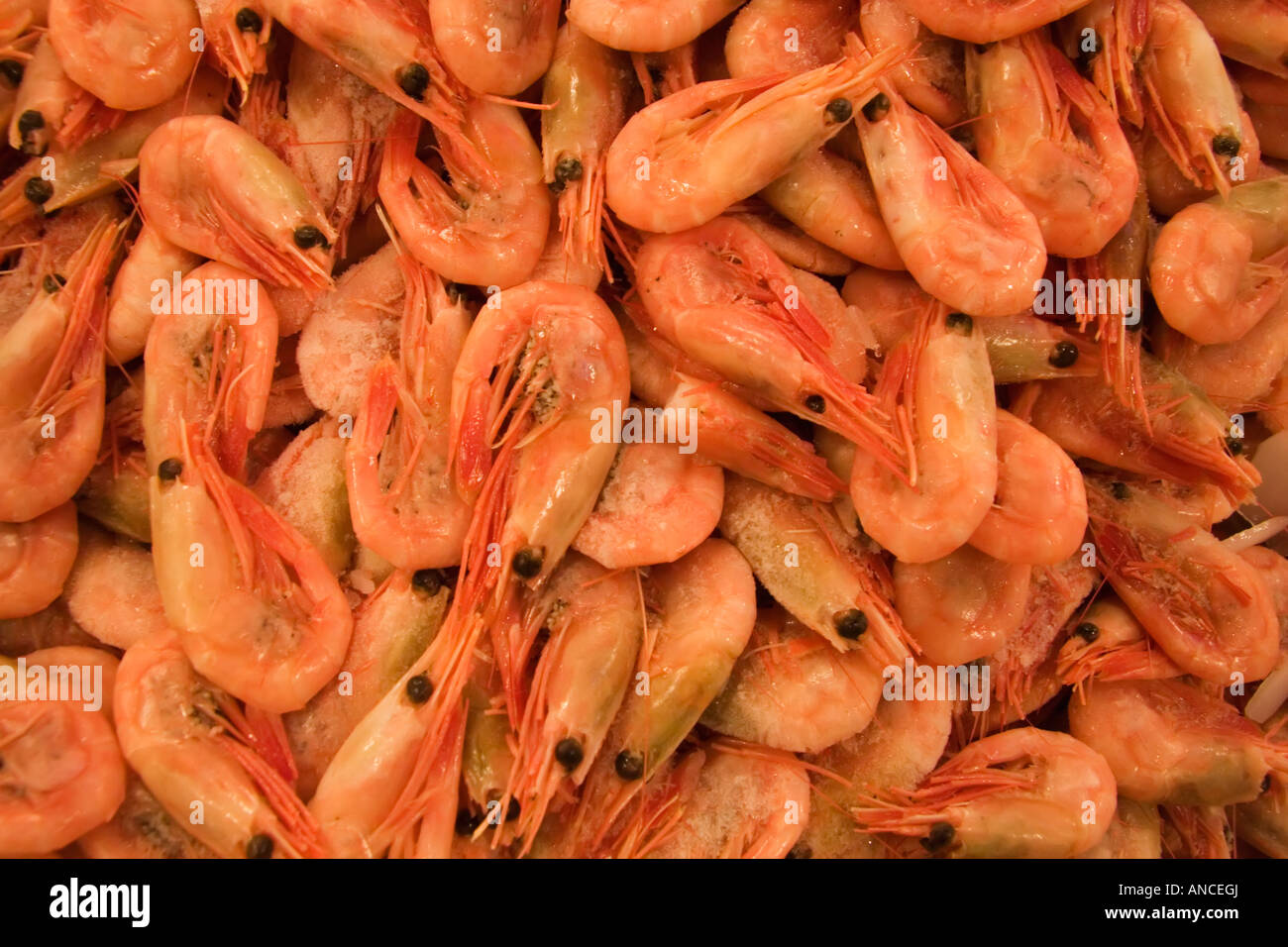 North America, USA, Washington, Seattle. Shrimp for sale the Pike Place