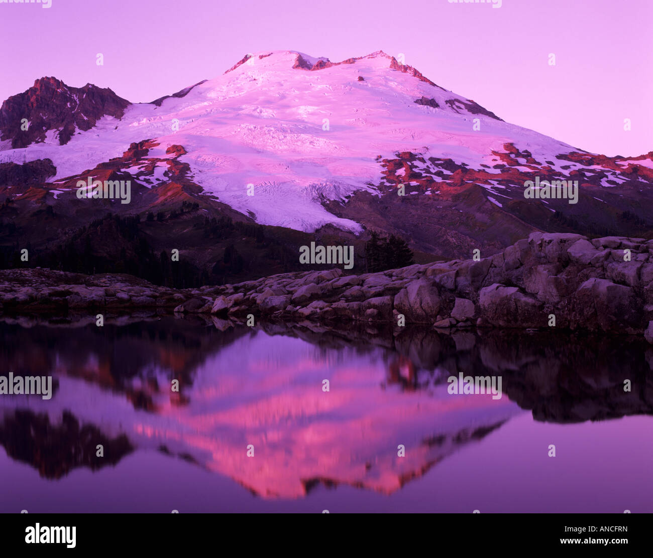 WA, Mount Baker Wilderness, Mount Baker reflected in alpine tarn on