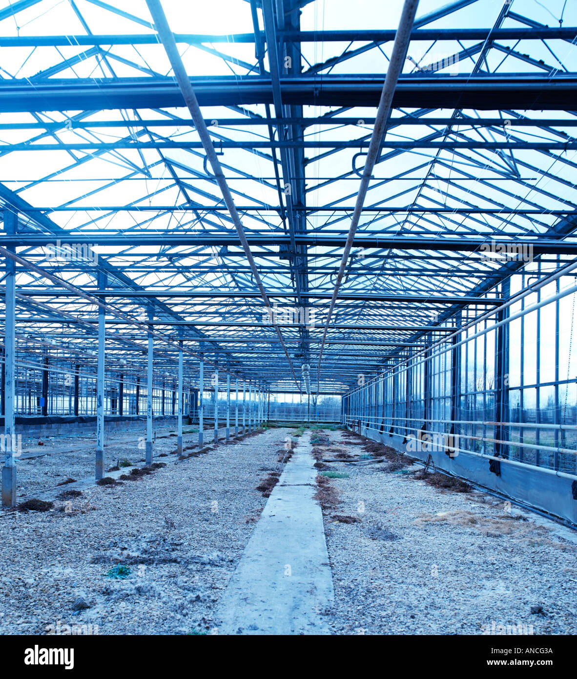 Abandoned Greenhouse High Resolution Stock Photography and Images - Alamy