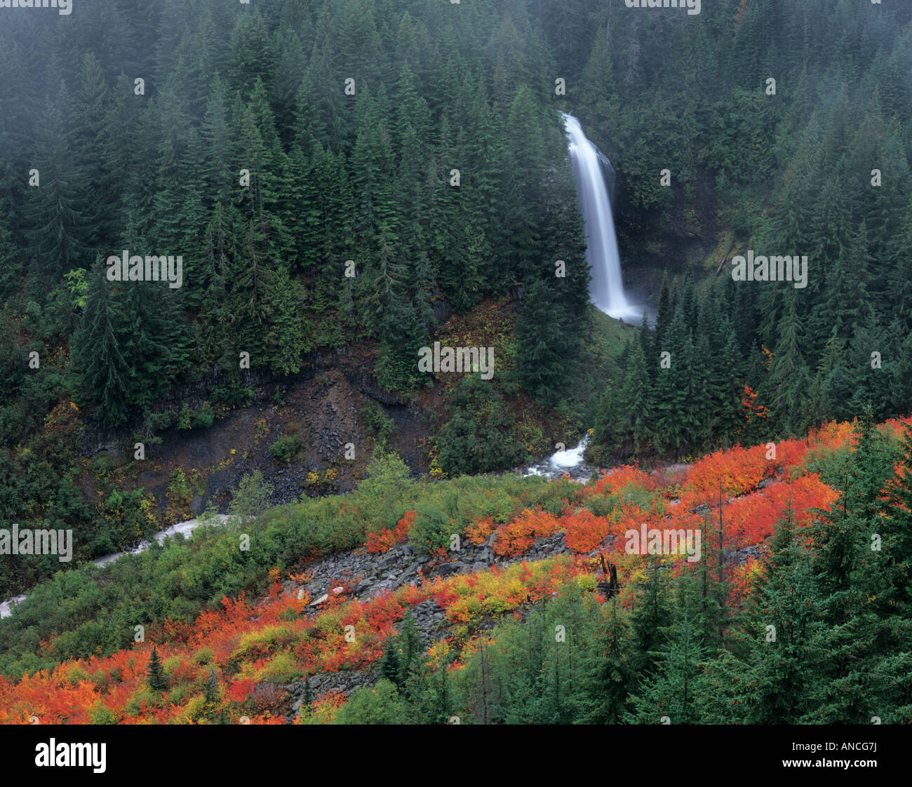 WA, Mt. Rainier NP, Martha Falls with fall color in Stevens Canyon ...
