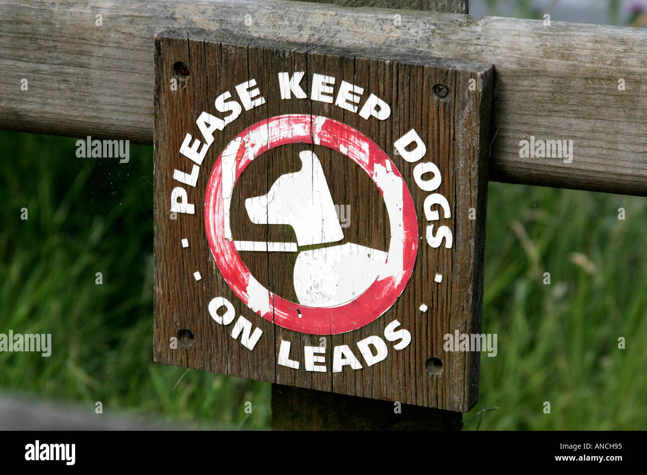Please keep your dogs on leads hires stock photography and images Alamy
