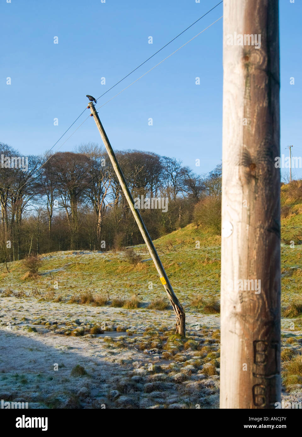 Broken telegraph pole Stock Photo