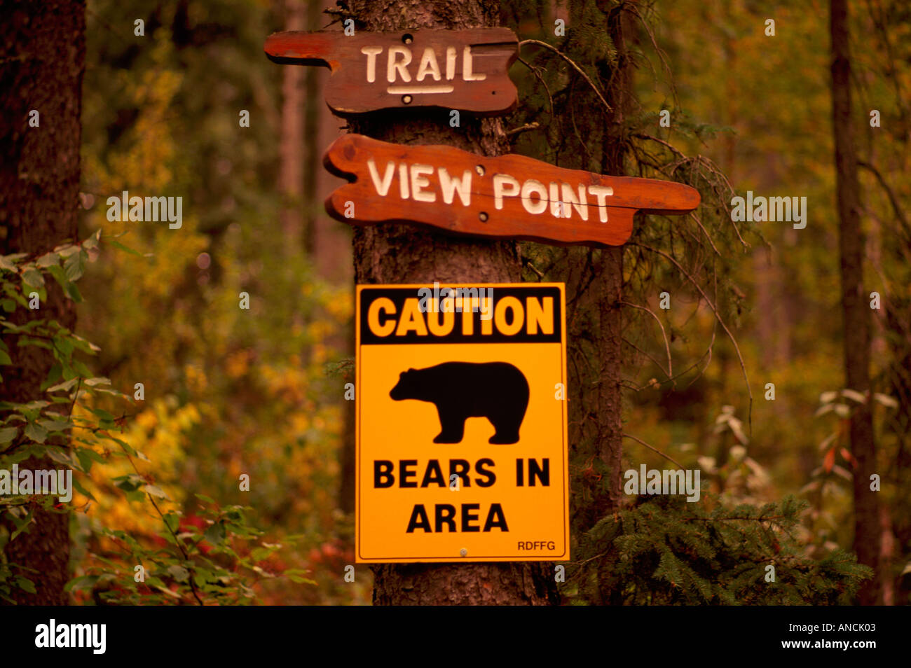 Bear Warning Sign, Caution Signs - Active Bears in Area, Danger Alert, Public Notice on a Hiking Trail Stock Photo
