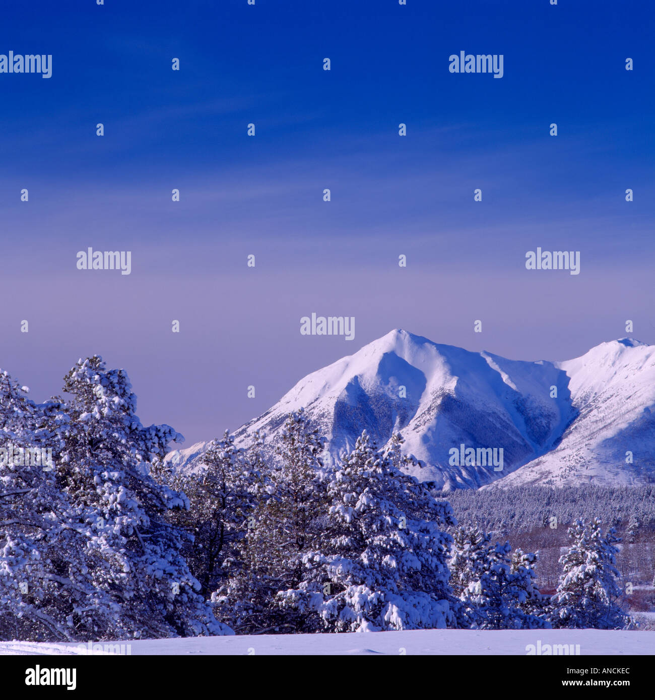 The Nemaiah Valley and the Coast Mountains in Winter in