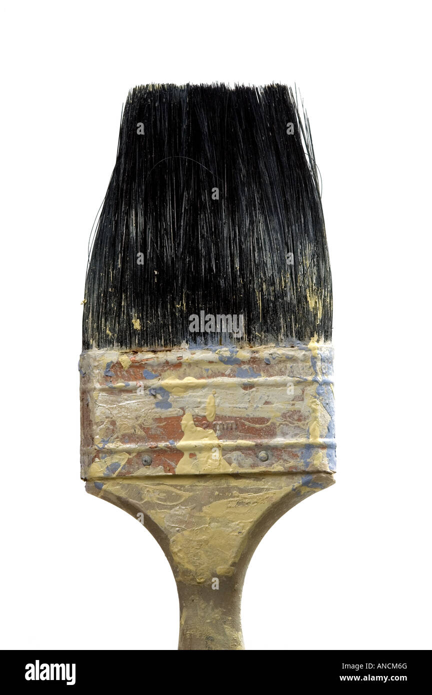 A cleaned paintbrush Stock Photo