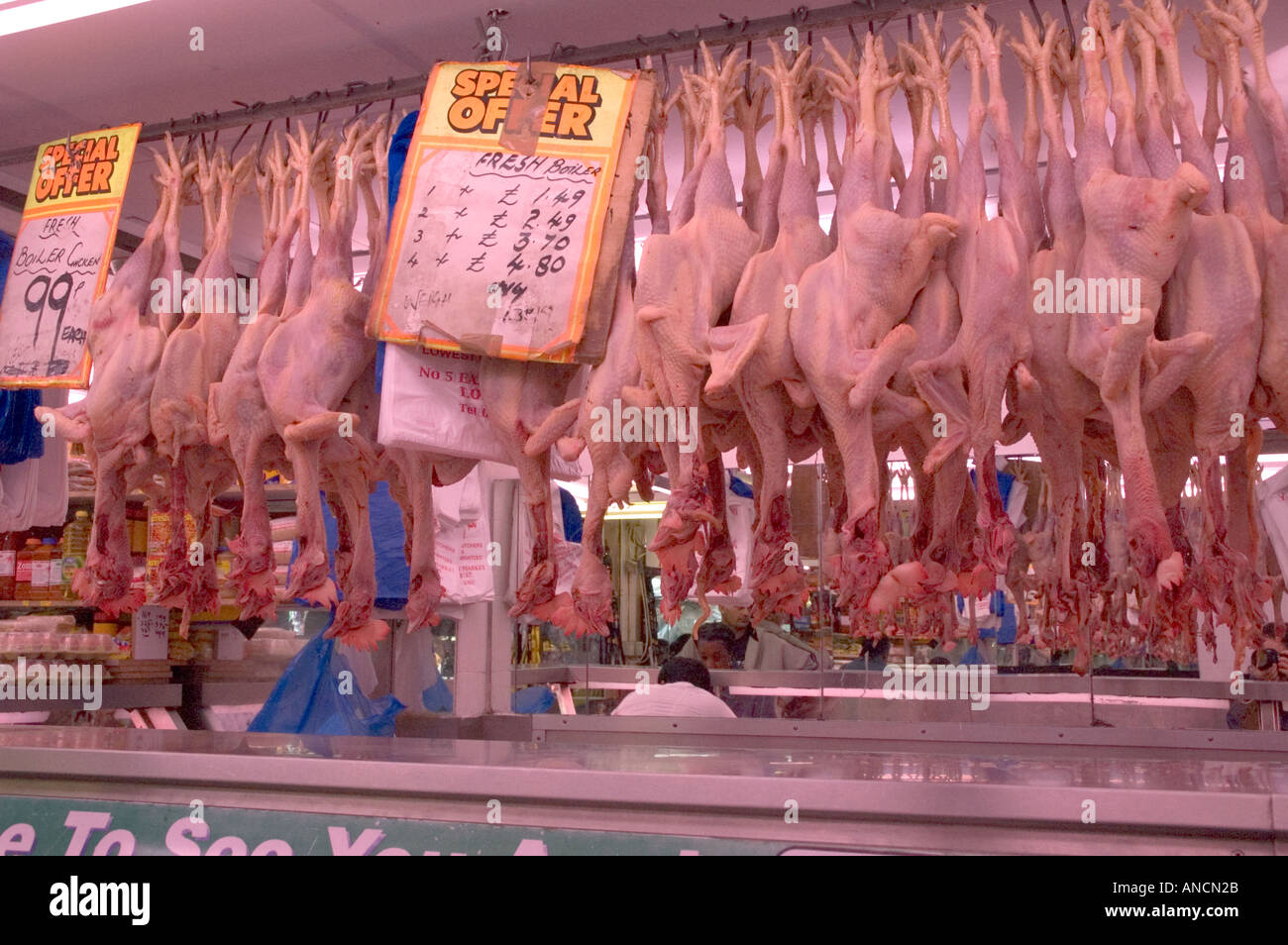 Fresh boiler chickens hanging in a butcher shop, displayed in a row with price attached. Stock Photo